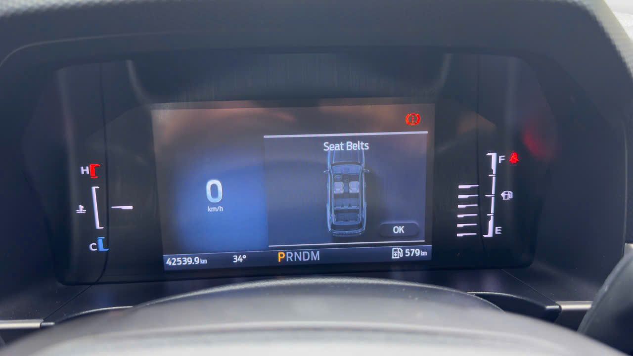 Hình ảnh xe FORD EVEREST 2022 - 42.500KM