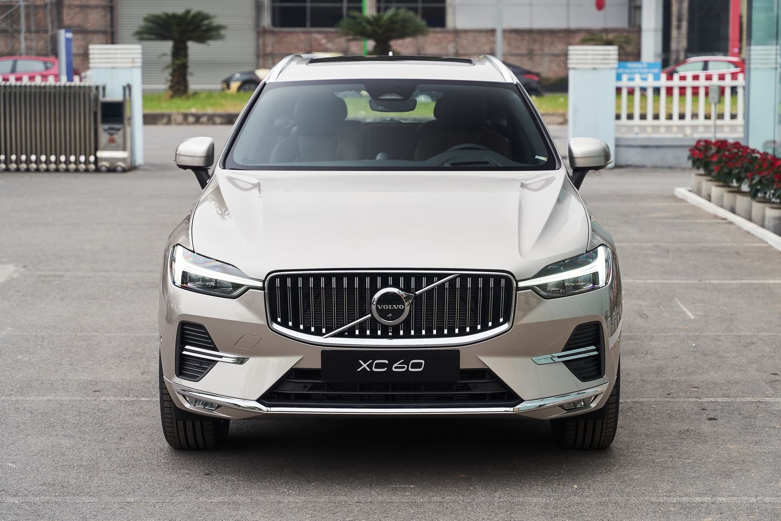 Hình ảnh xe VOLVO XC60 ULTRA 2025